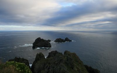Turismo 2021. Listaxe Definitiva e Data Exame