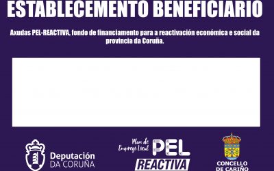 PEL REACTIVA 2020. CARTEL INFORMATIVO